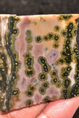 Ocean Jasper Slice Cabochon / Top Quality Ocean Jasper Gemstone / Slice / 166.25 Ct. / 59x56x6 mm. Loose Gemstone A-218