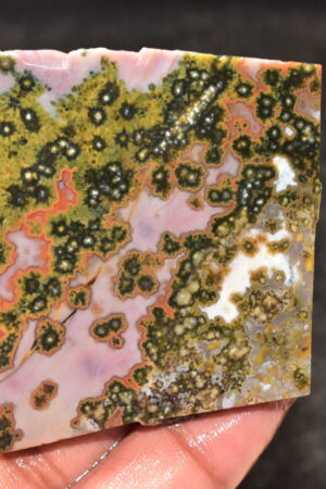 Ocean Jasper Slice Cabochon / Top Quality Ocean Jasper Gemstone / Slice / 175.80 Ct. / 59x52x6 mm. Loose Gemstone A-219