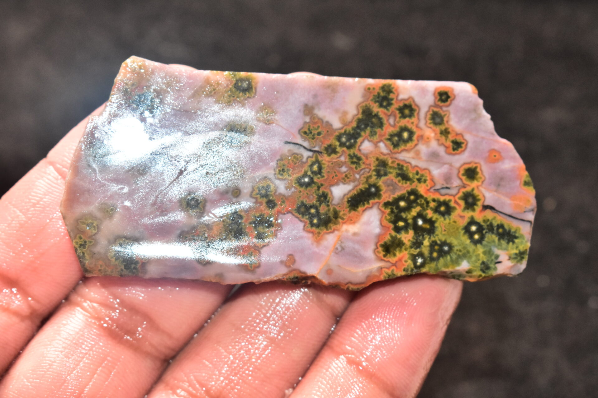 Ocean Jasper Slice Cabochon / Top Quality Ocean Jasper Gemstone / Slice / 153.50 Ct. / 78x36x6 mm. Loose Gemstone A-214 - Image 3