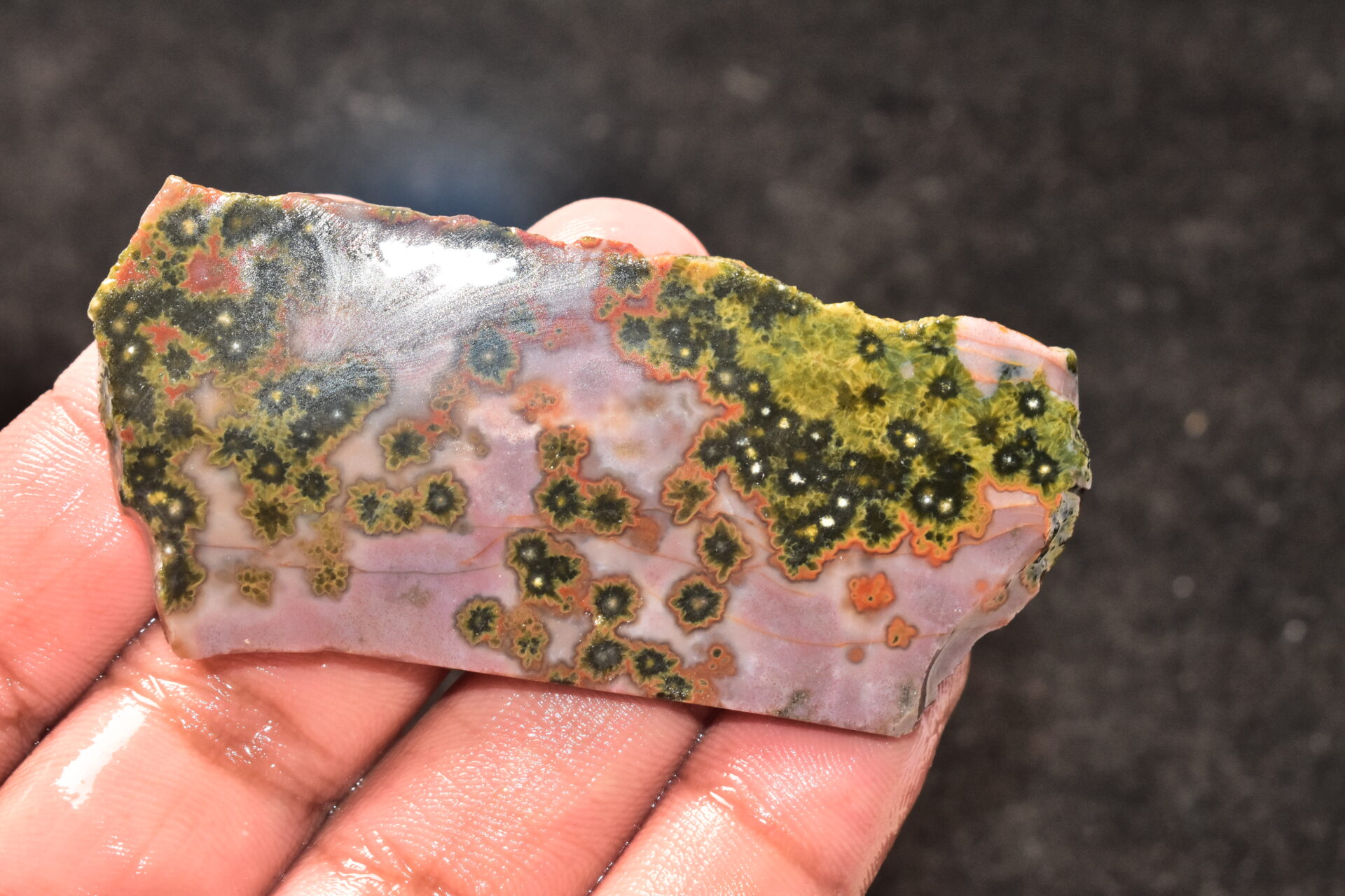 Ocean Jasper Slice Cabochon / Top Quality Ocean Jasper Gemstone / Slice / 153.50 Ct. / 78x36x6 mm. Loose Gemstone A-214 - Image 4