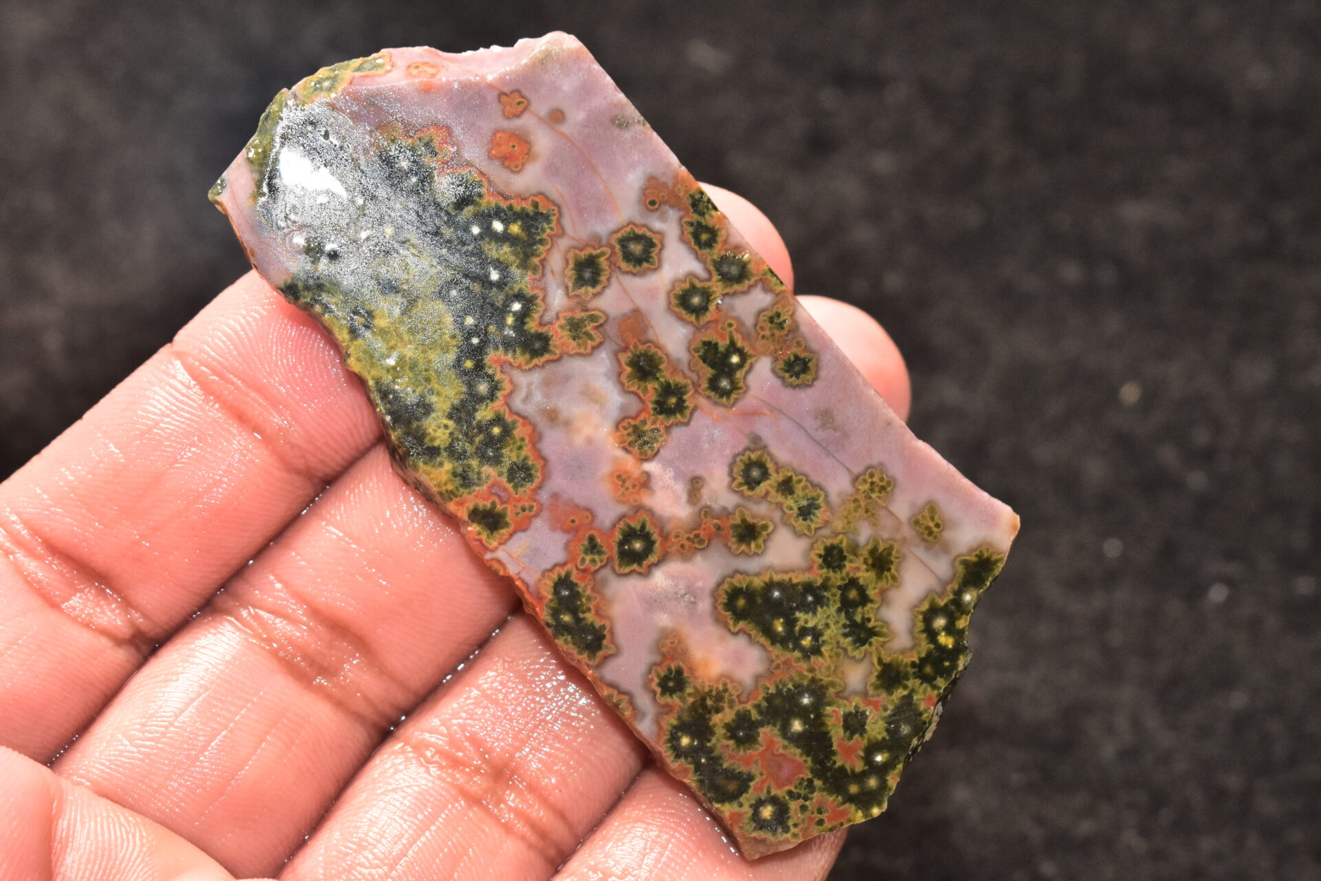 Ocean Jasper Slice Cabochon / Top Quality Ocean Jasper Gemstone / Slice / 153.50 Ct. / 78x36x6 mm. Loose Gemstone A-214 - Image 5