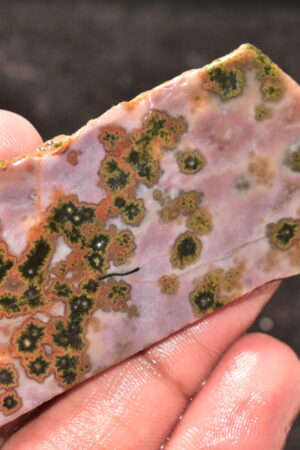 Ocean Jasper Slice Cabochon / Top Quality Ocean Jasper Gemstone / Slice / 153.50 Ct. / 78x36x6 mm. Loose Gemstone A-214