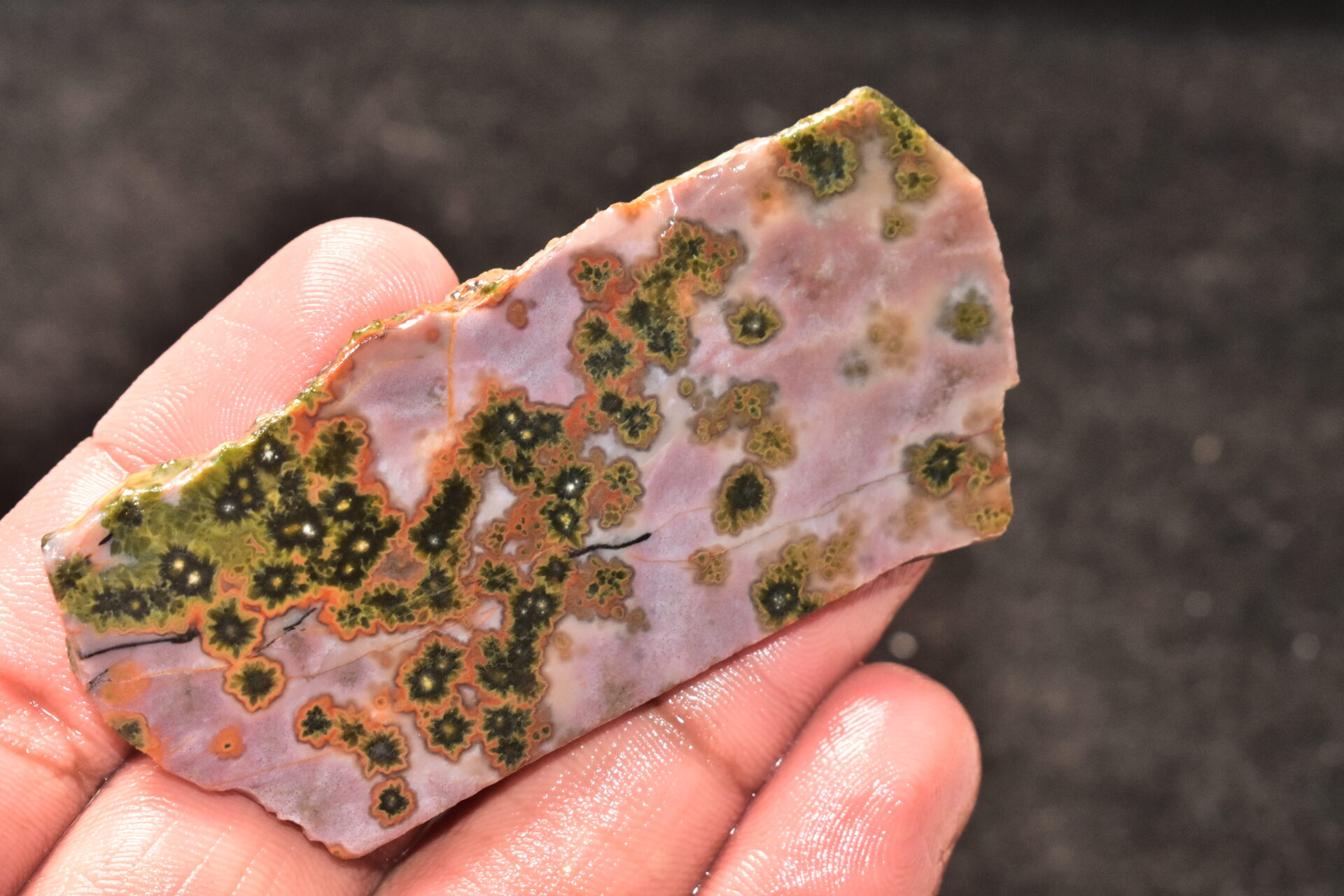 Ocean Jasper Slice Cabochon / Top Quality Ocean Jasper Gemstone / Slice / 153.50 Ct. / 78x36x6 mm. Loose Gemstone A-214