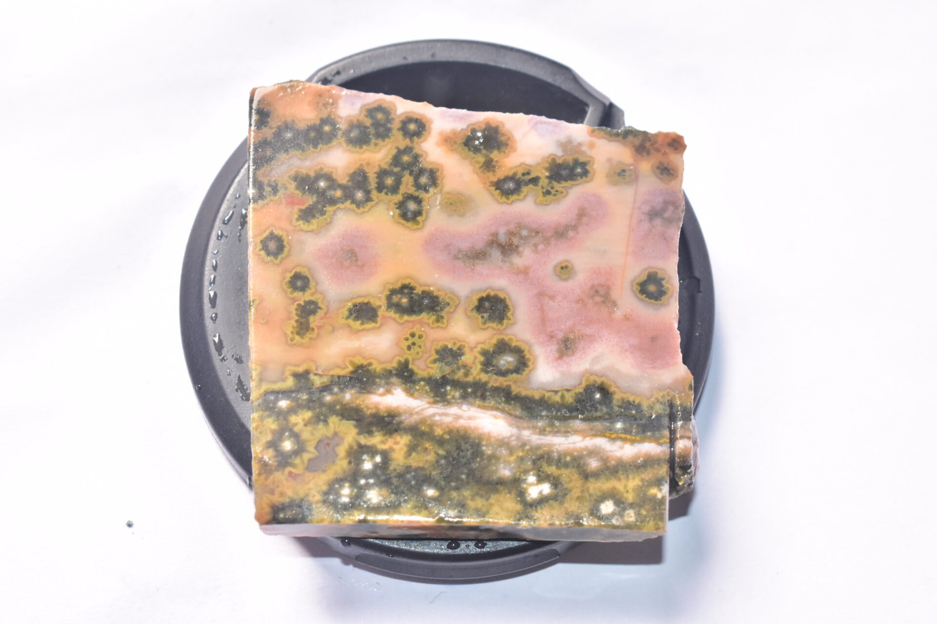 Ocean Jasper Slice Cabochon / Top Quality Ocean Jasper Gemstone / Slice / 140.10 Ct. / 47x45x5 mm. Loose Gemstone A-221 - Image 2