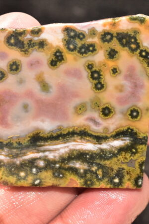 Ocean Jasper Slice Cabochon / Top Quality Ocean Jasper Gemstone / Slice / 140.10 Ct. / 47x45x5 mm. Loose Gemstone A-221