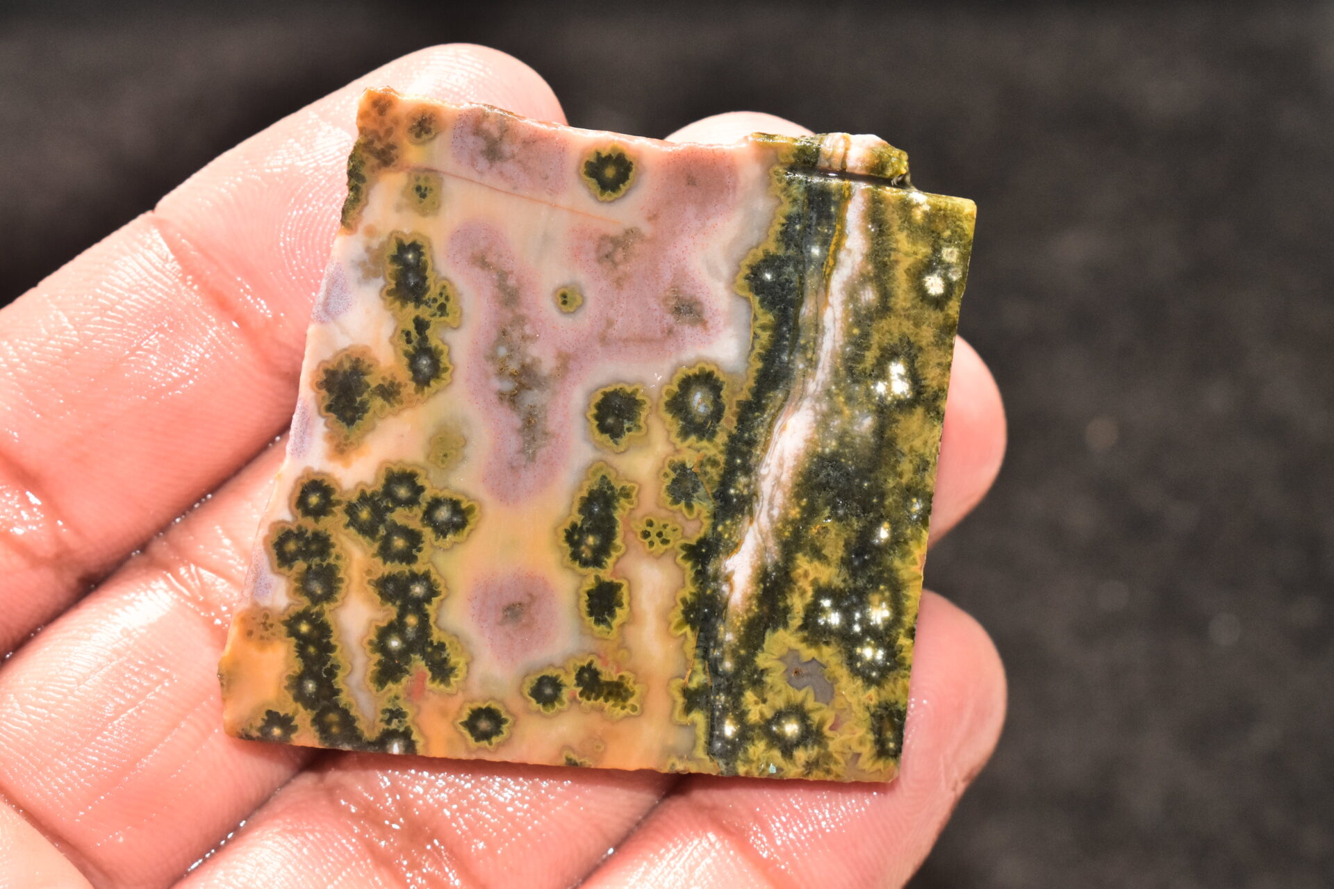 Ocean Jasper Slice Cabochon / Top Quality Ocean Jasper Gemstone / Slice / 140.10 Ct. / 47x45x5 mm. Loose Gemstone A-221 - Image 4