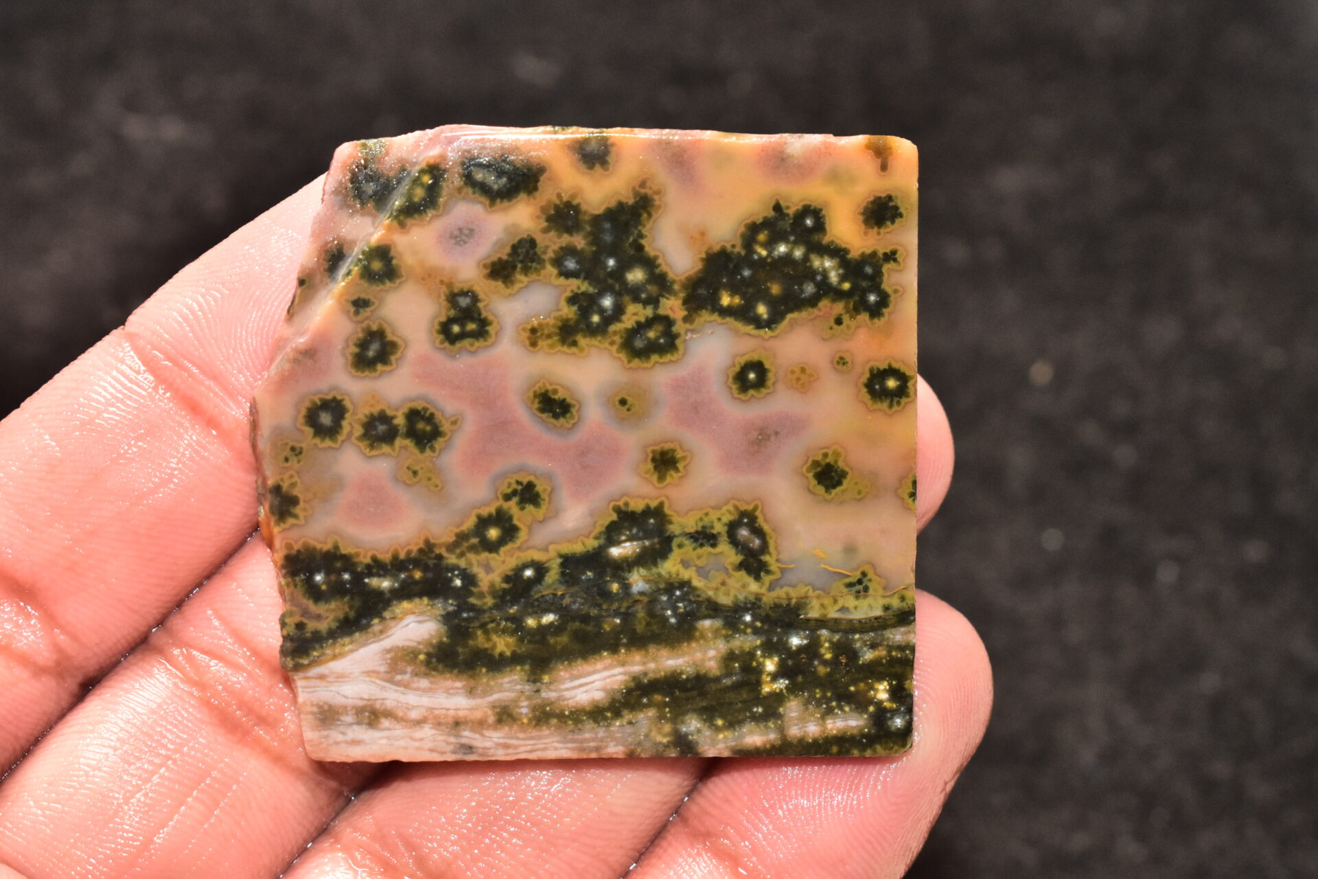 Ocean Jasper Slice Cabochon / Top Quality Ocean Jasper Gemstone / Slice / 117.45 Ct. / 50x47x5 mm. Loose Gemstone A-223 - Image 3