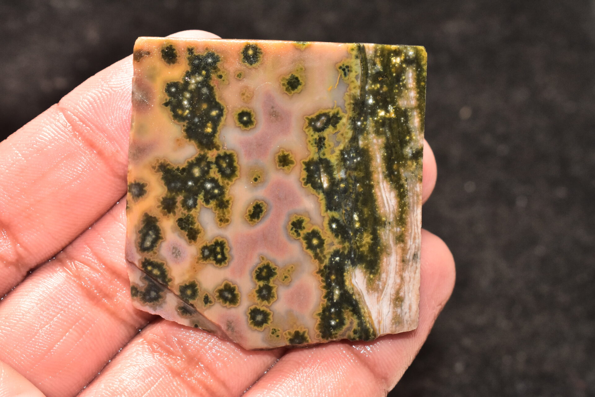 Ocean Jasper Slice Cabochon / Top Quality Ocean Jasper Gemstone / Slice / 117.45 Ct. / 50x47x5 mm. Loose Gemstone A-223