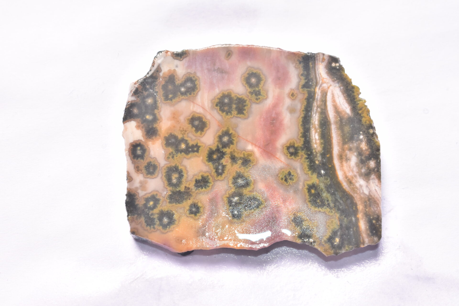 Ocean Jasper Slice Cabochon / Top Quality Ocean Jasper Gemstone / Slice / 141.50 Ct. / 52x43x5 mm. Loose Gemstone A-211 - Image 2