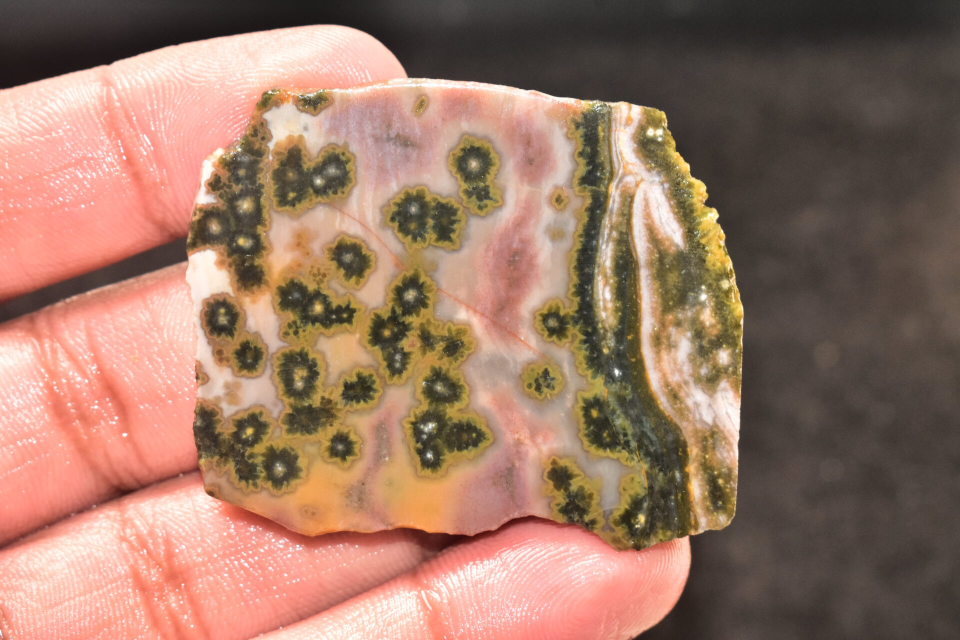Ocean Jasper Slice Cabochon / Top Quality Ocean Jasper Gemstone / Slice / 141.50 Ct. / 52x43x5 mm. Loose Gemstone A-211 - Image 4